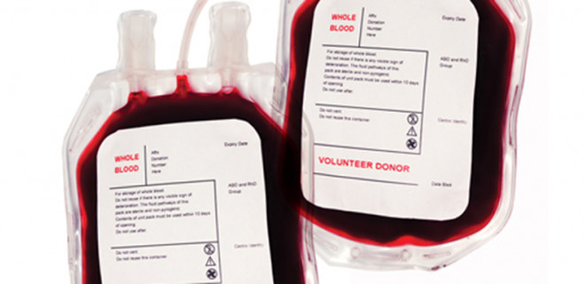 Two bags of blood